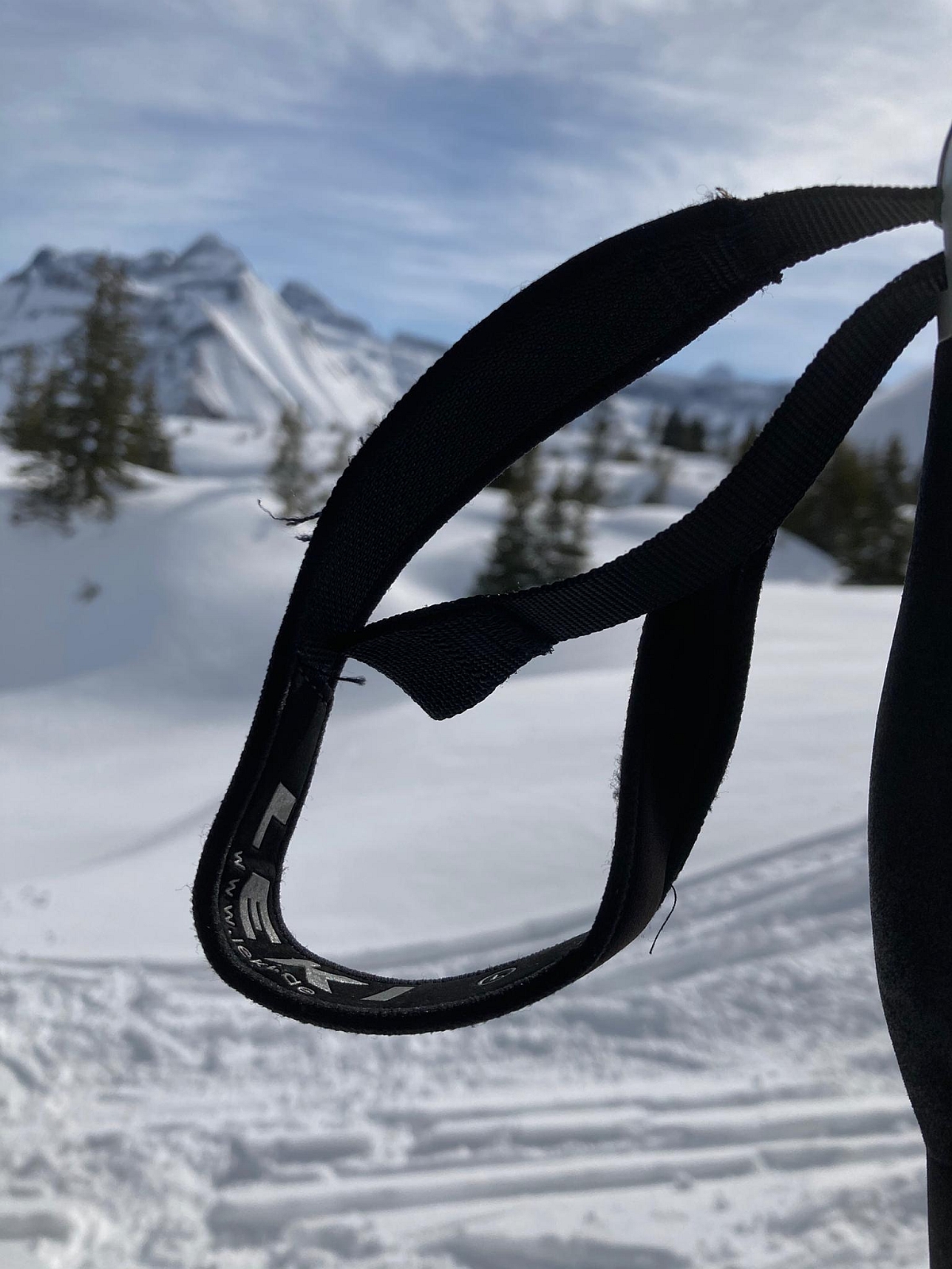 11_13. Mrz 21_SAC Schneeschuhtour Baettenalpburg (111).jpg